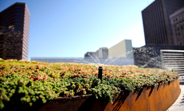 Aspersores y difusores