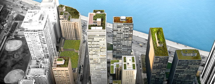 Green Roof Header