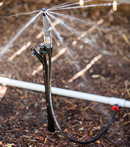 MP Rotator™ Stake Kit