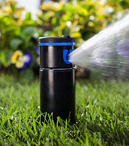 PGP Ultra & I-20 PRB