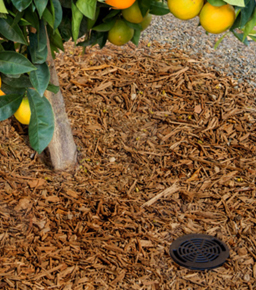نظام ري منطقة الجذور