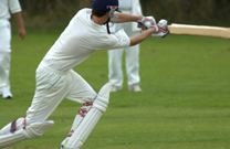Cricket