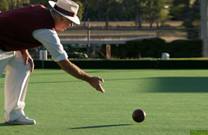 Lawn Bowling