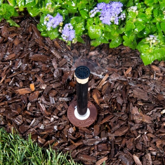 Hunter Short Radius Micro Spray Nozzle in action