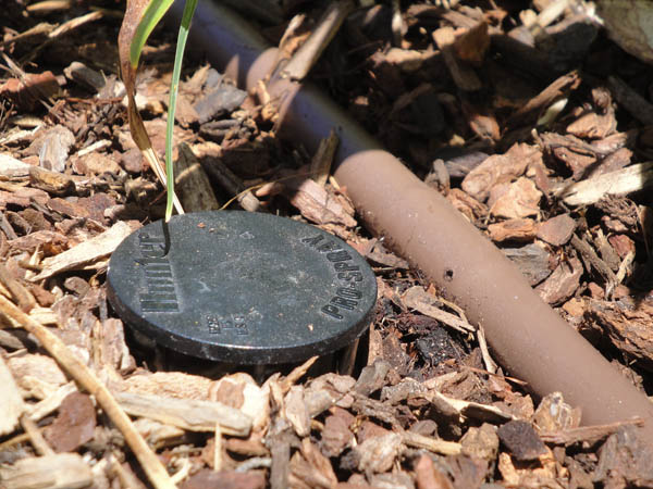 Pro Spray Shut Off Cap PLD